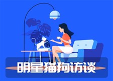 明星猫狗访谈